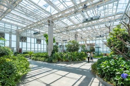 Vertical Farm Hengshui